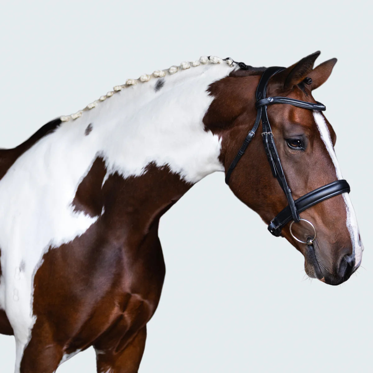 Lumiere Stella Bridle