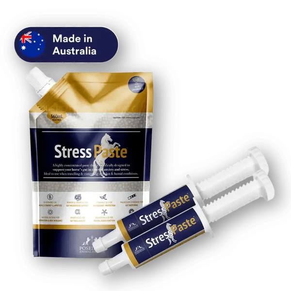 Stress Paste | Stable Supplies - Health | Saddleworld Ipswich