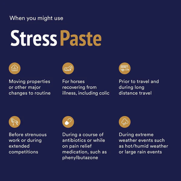 Stress Paste