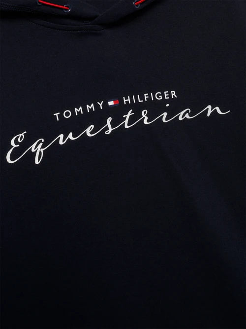 Tommy Hilfiger Metallic Graphic Logo Hoodie Desert Sky