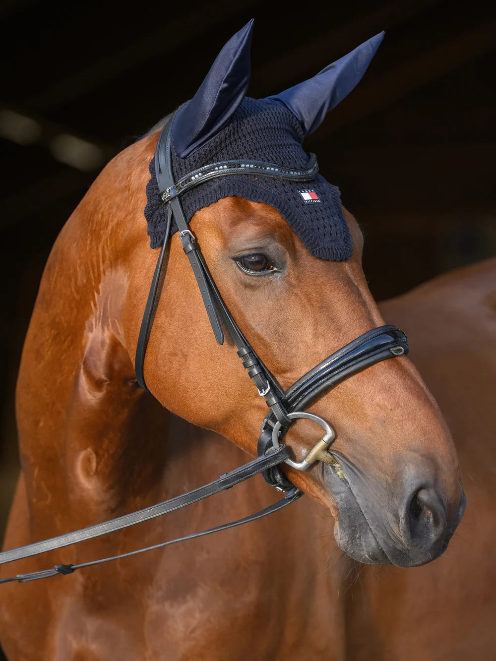 Tommy Hilfiger Lexington Ear Bonnet | Horse Supplies - Ear Bonnett | Saddleworld Ipswich