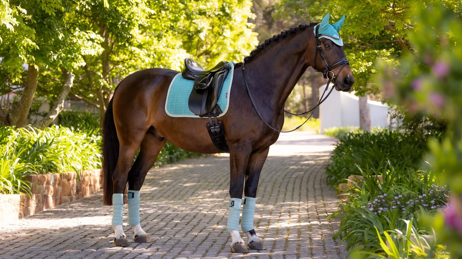 LeMieux Suede Dressage Square