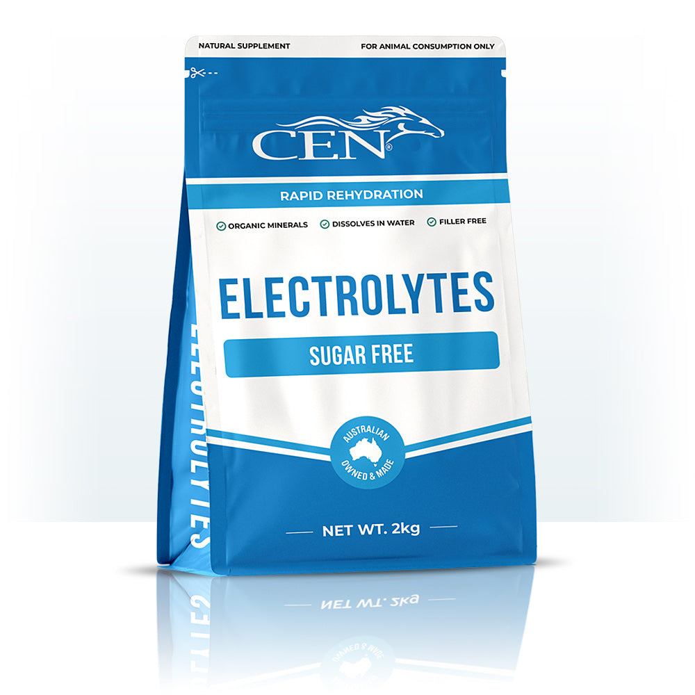 CEN Complete Electrolyte