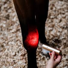 Horseware LED Red Light Therapy Wand