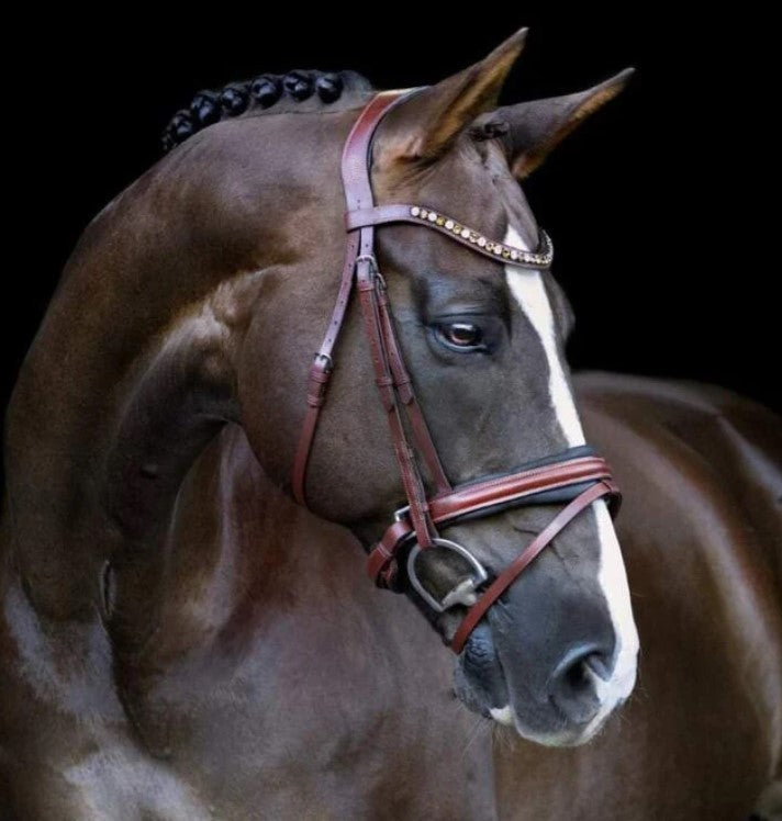 Lumiere Arabella Bridle Leather Bridle (Hanoverian) With Premium Reins