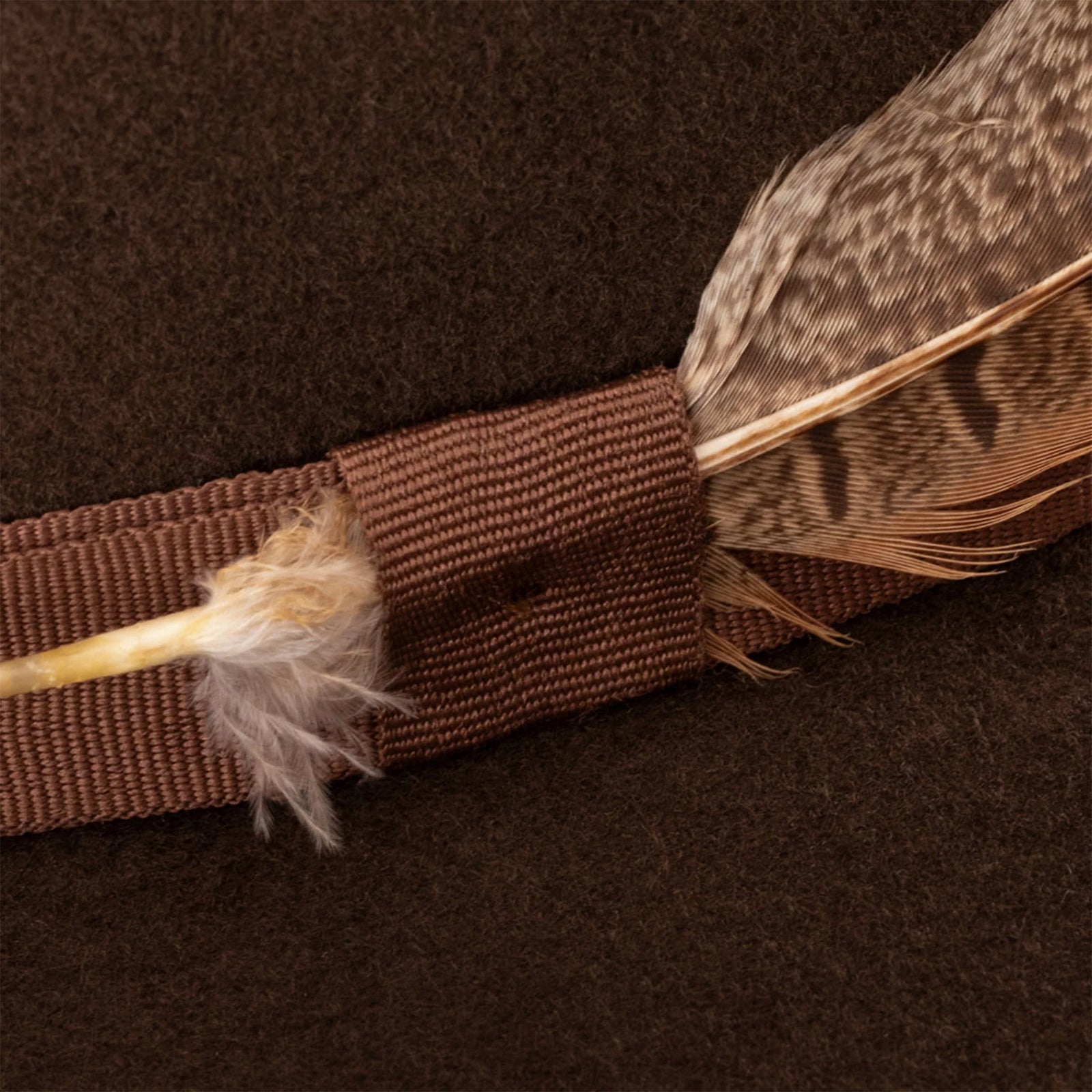 Resistol Junior Holt Cordova OSFA