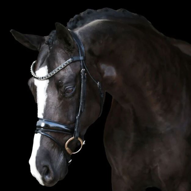 Lumiere Audrey Rolled Leather Hanoverian Bridle
