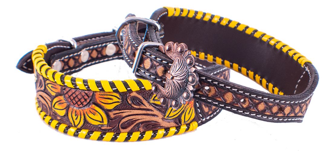 Showman Couture ® Sunflower Leather Dog Collar