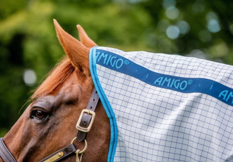 Amigo Aussie Allrounder Disc Front