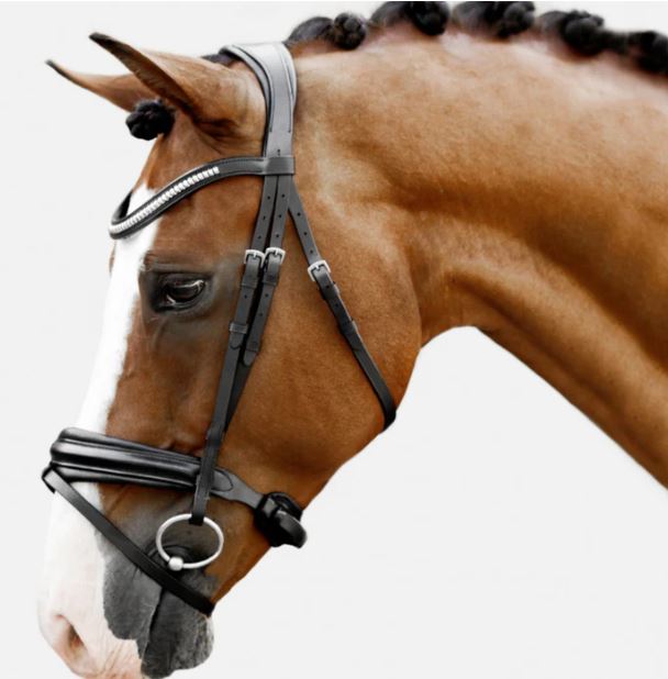 Lumiere Melodie Classic Bridle Premium Padded Nappa Reins
