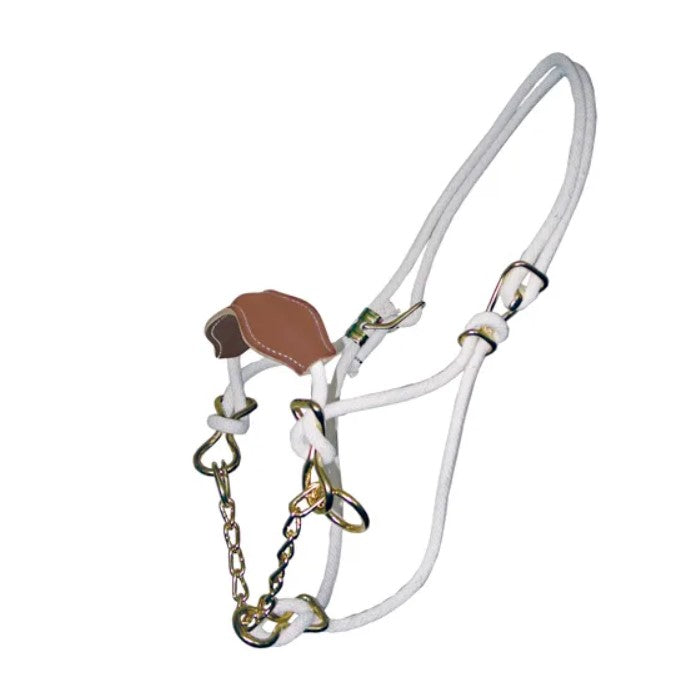 Hackamore Leather Nose Band Cow White
