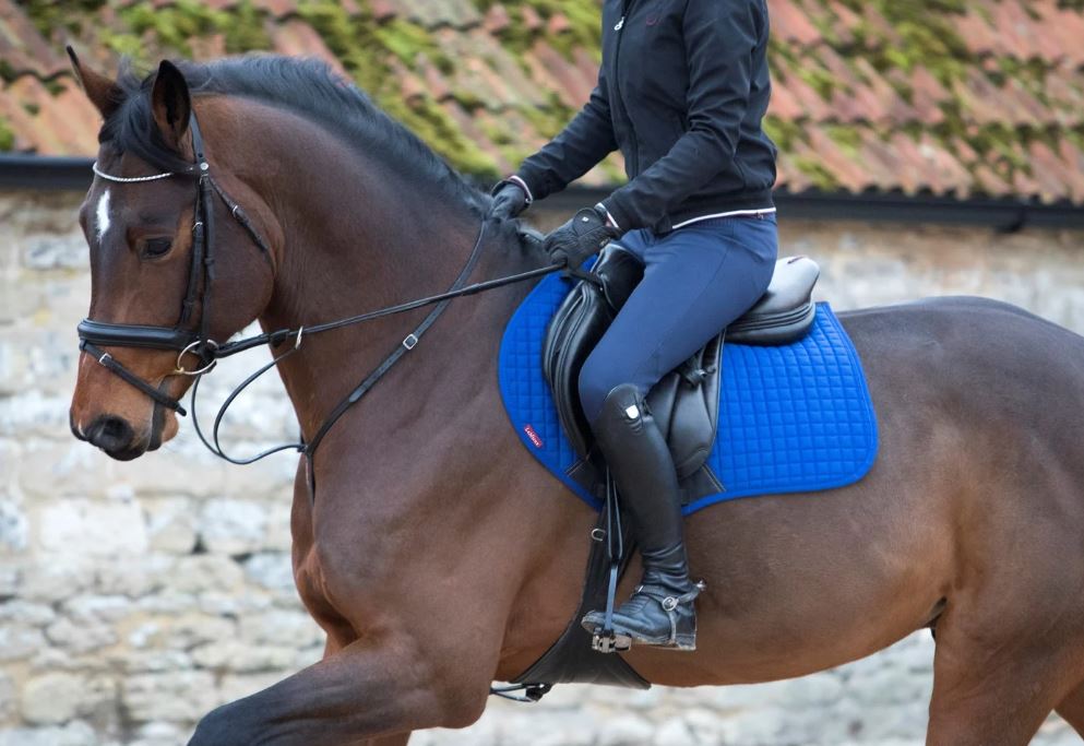 LeMieux Cotton Close Contact Square