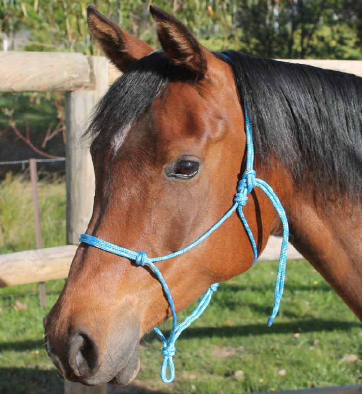 Nungar Knots Headstall 6mm Yatching Rope