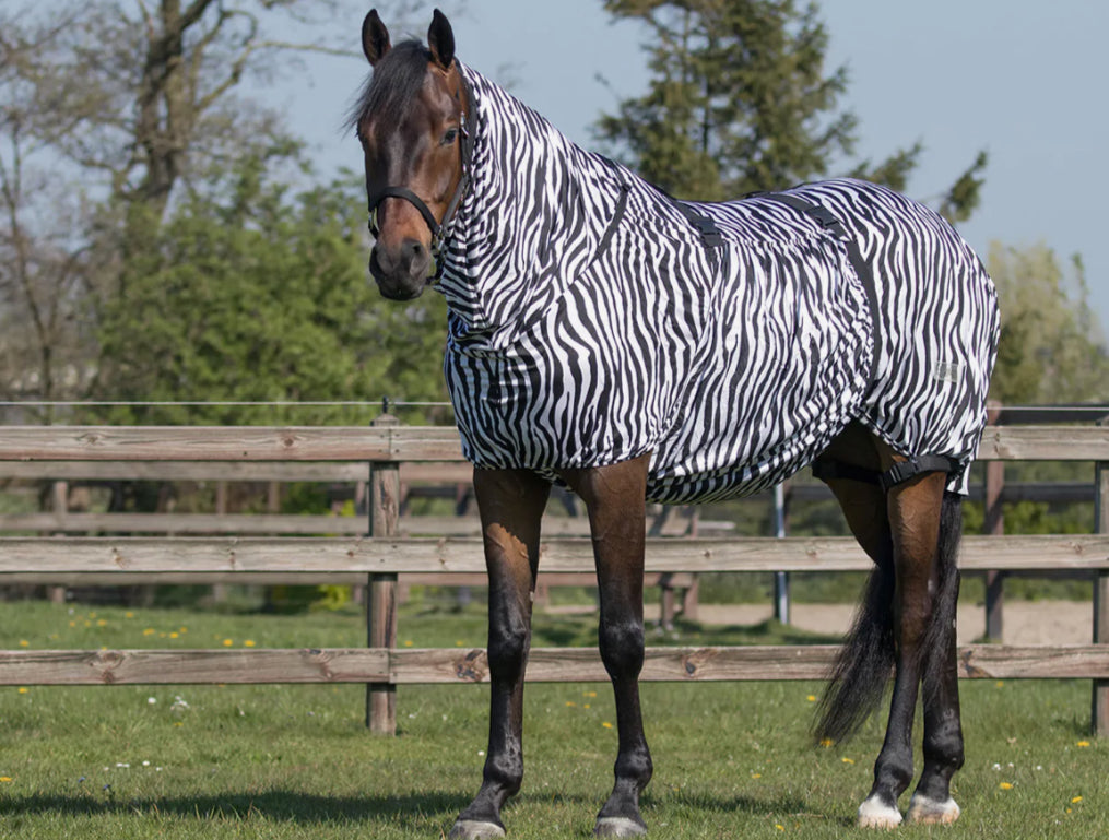 QHP Eczema Rug Zebra