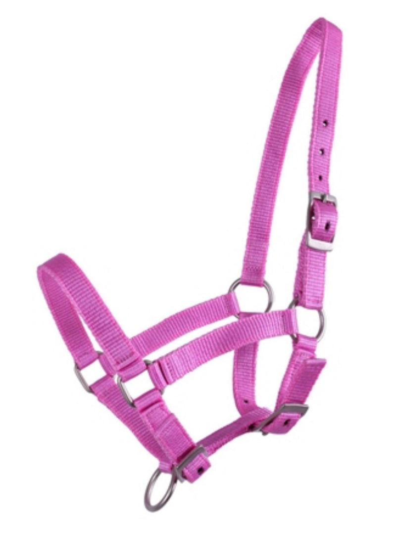 QHP Head Collar Foal