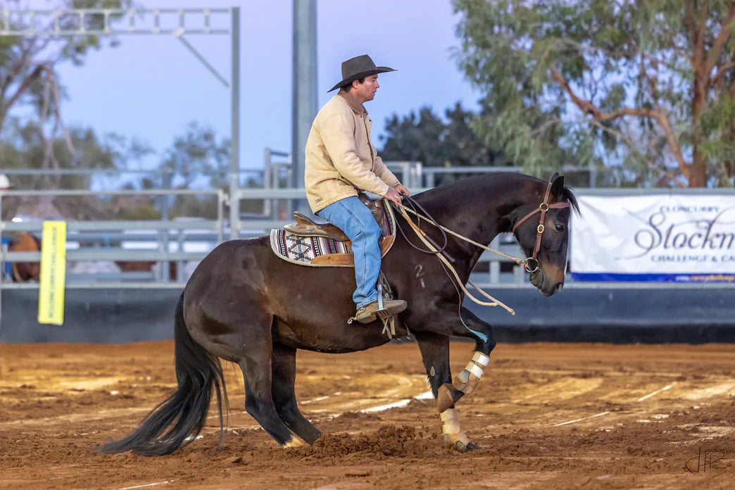 Toprail Oval Shaped Contoured Saddle Pad | Horse Supplies - Western Pads | Saddleword Ipswich