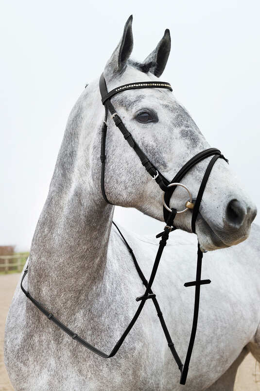 Horze Weston Bridle