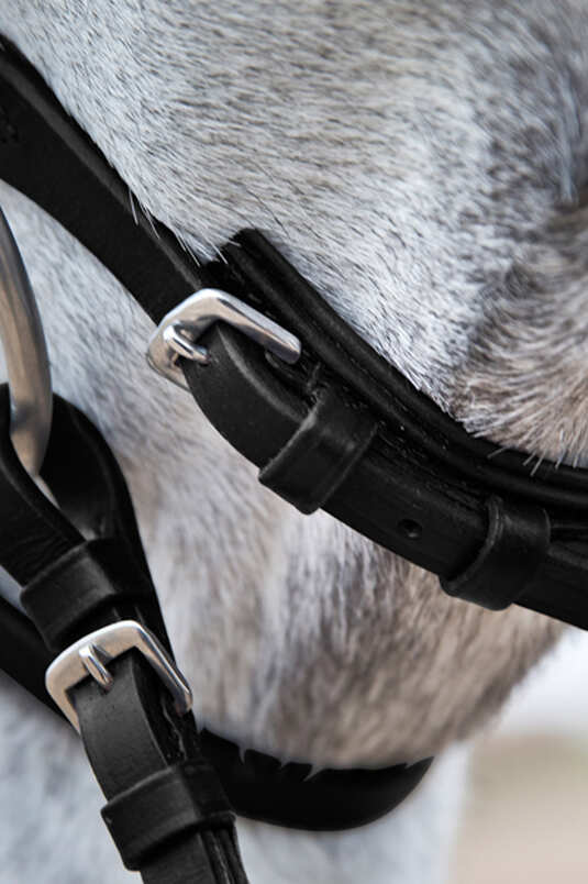 Horze Weston Bridle