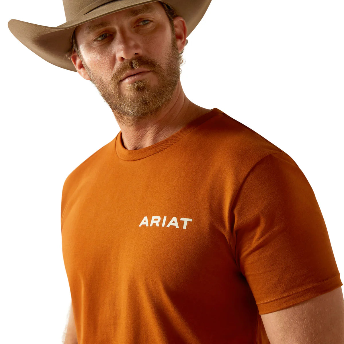 Ariat Mns Buffalo West SS Tee Burnt Umber