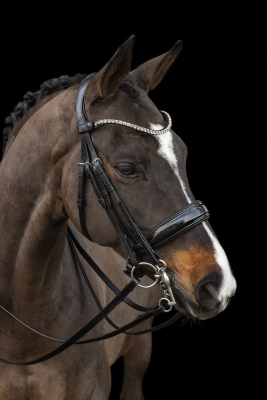Schockemohle Milazzo Double Bridle