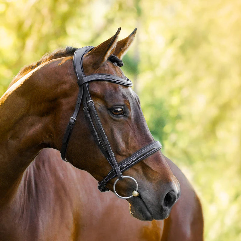 Lumiere Milan Bridle