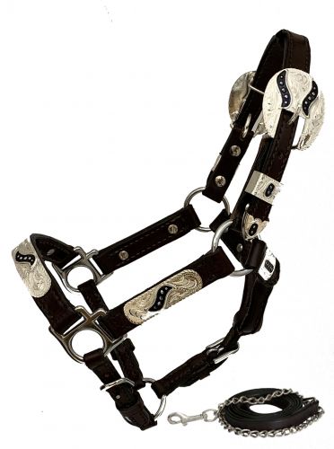Showman Mini Leather Show Halter with Black Scroll Inlay Engraved Silver Plates