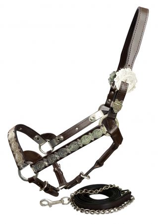 Showman Dark Oil Average Horse Size Double Stitched Silver Bar Show Halter
