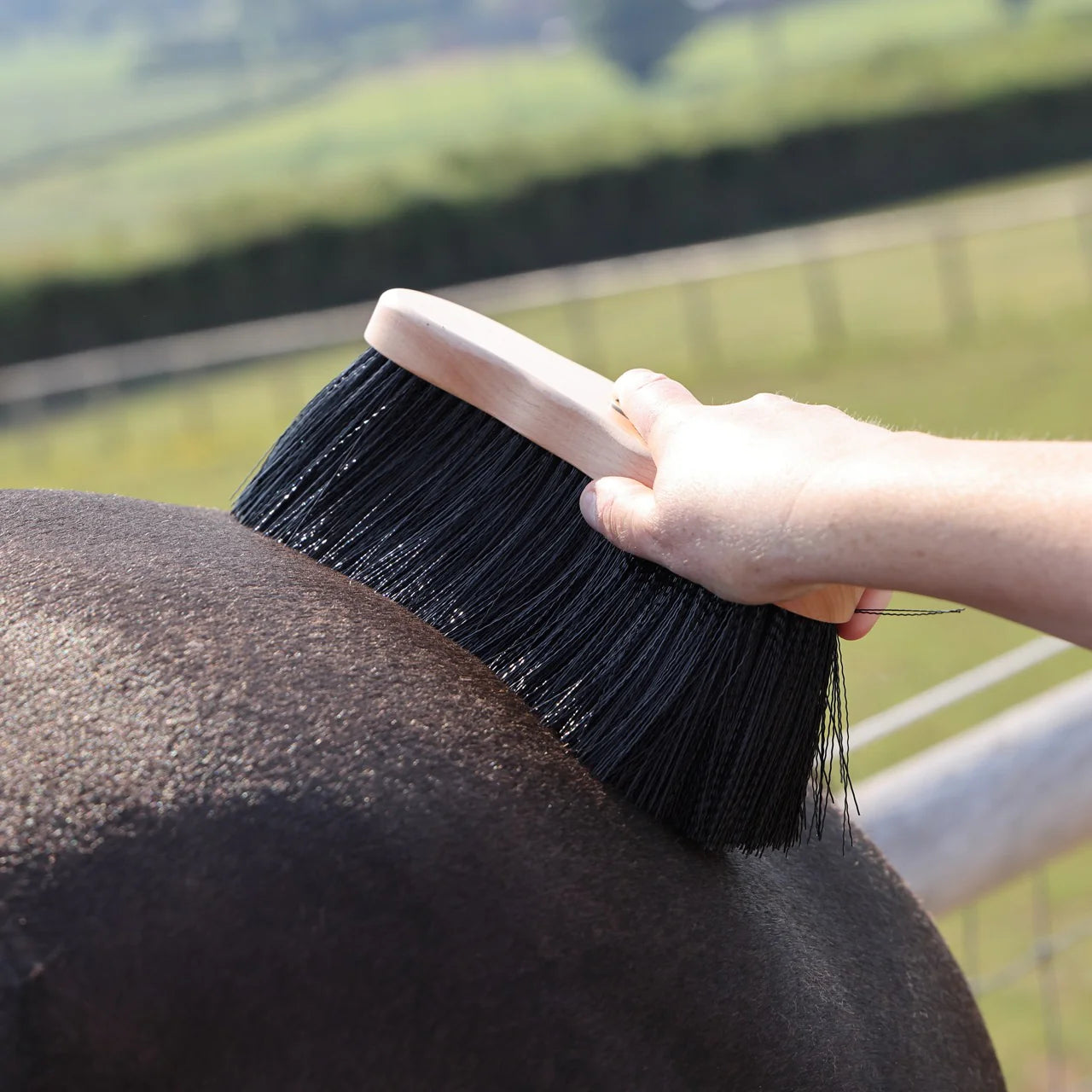 Shires EZI-GROOM Premium Long Dandy Brush Wood 170mm/75mm Bristles