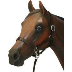 Halter Flat Leather Brown with Lead