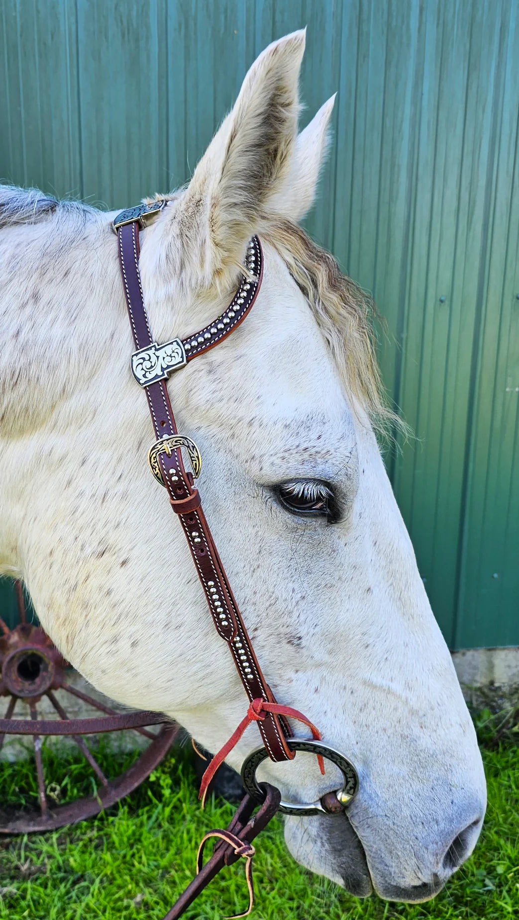 Smooth Like Cactus - Million Dollar Run USA Latigo Leather One Ear Bridle