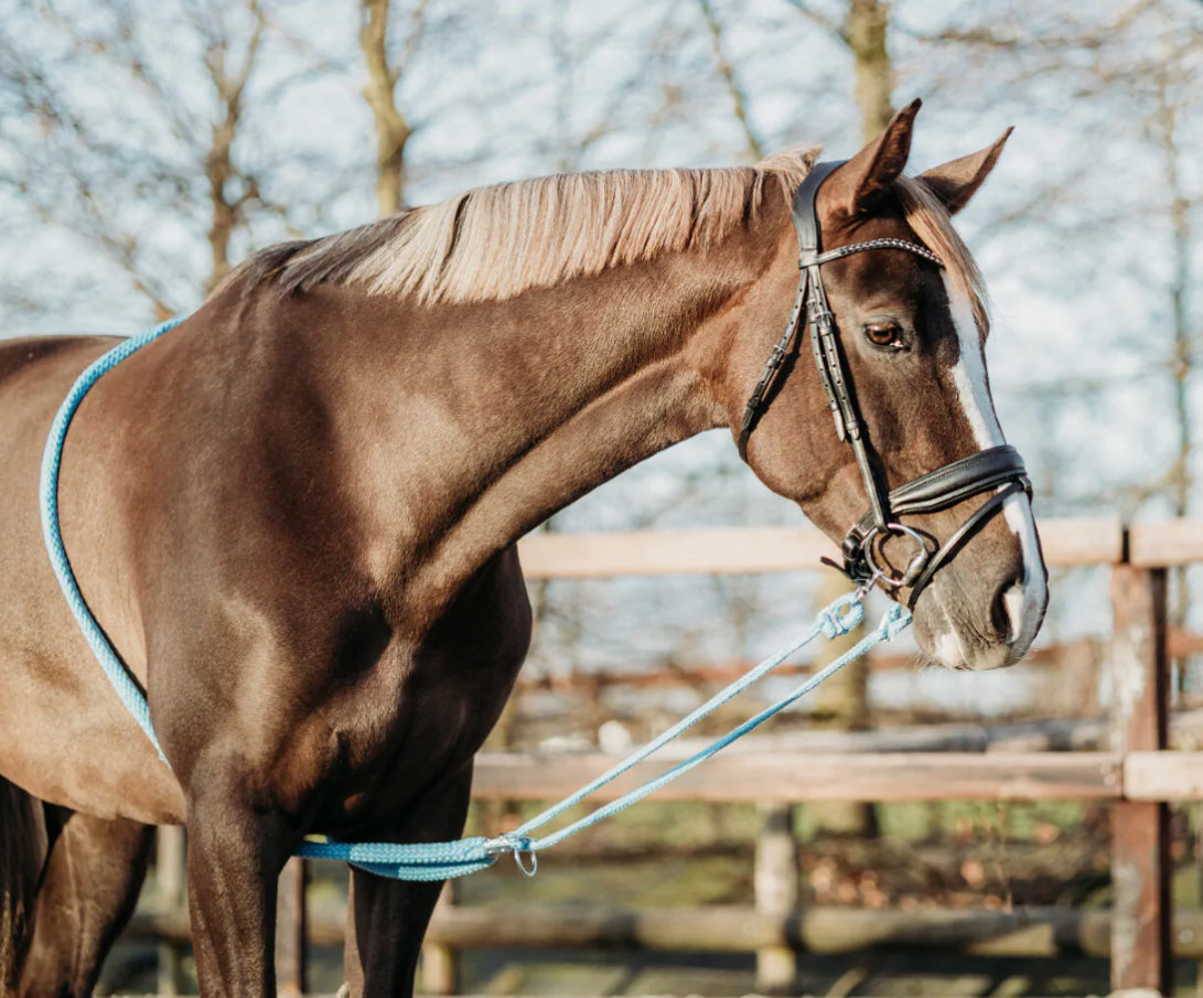 QHP Lunging Rope