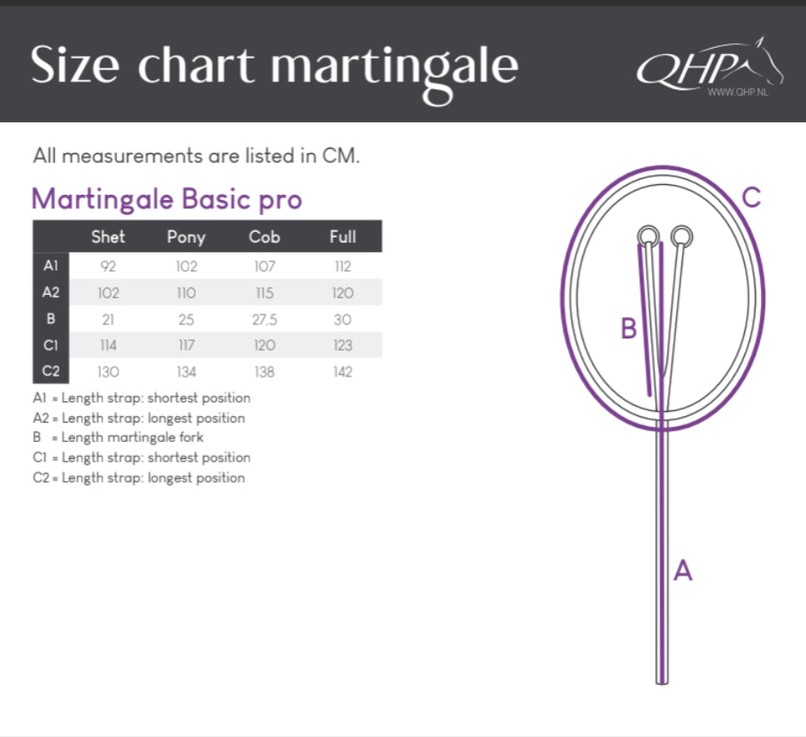 QHP Martingale Basic Pro