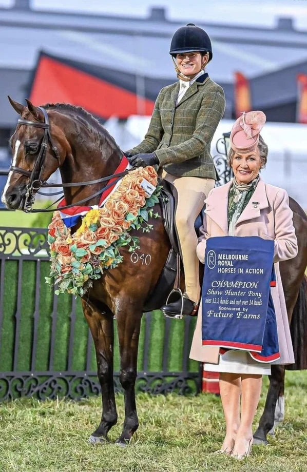 Bare UltraSlim 2 Tone Competition Tights - Hnter and Havana Brown