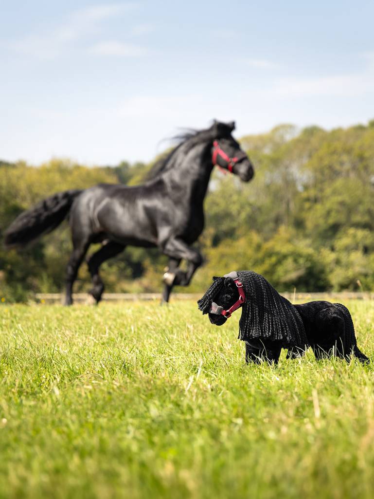 LeMieux Toy Pony Spike One Size