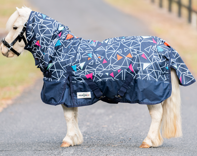 Eureka Miniature Viking Combo