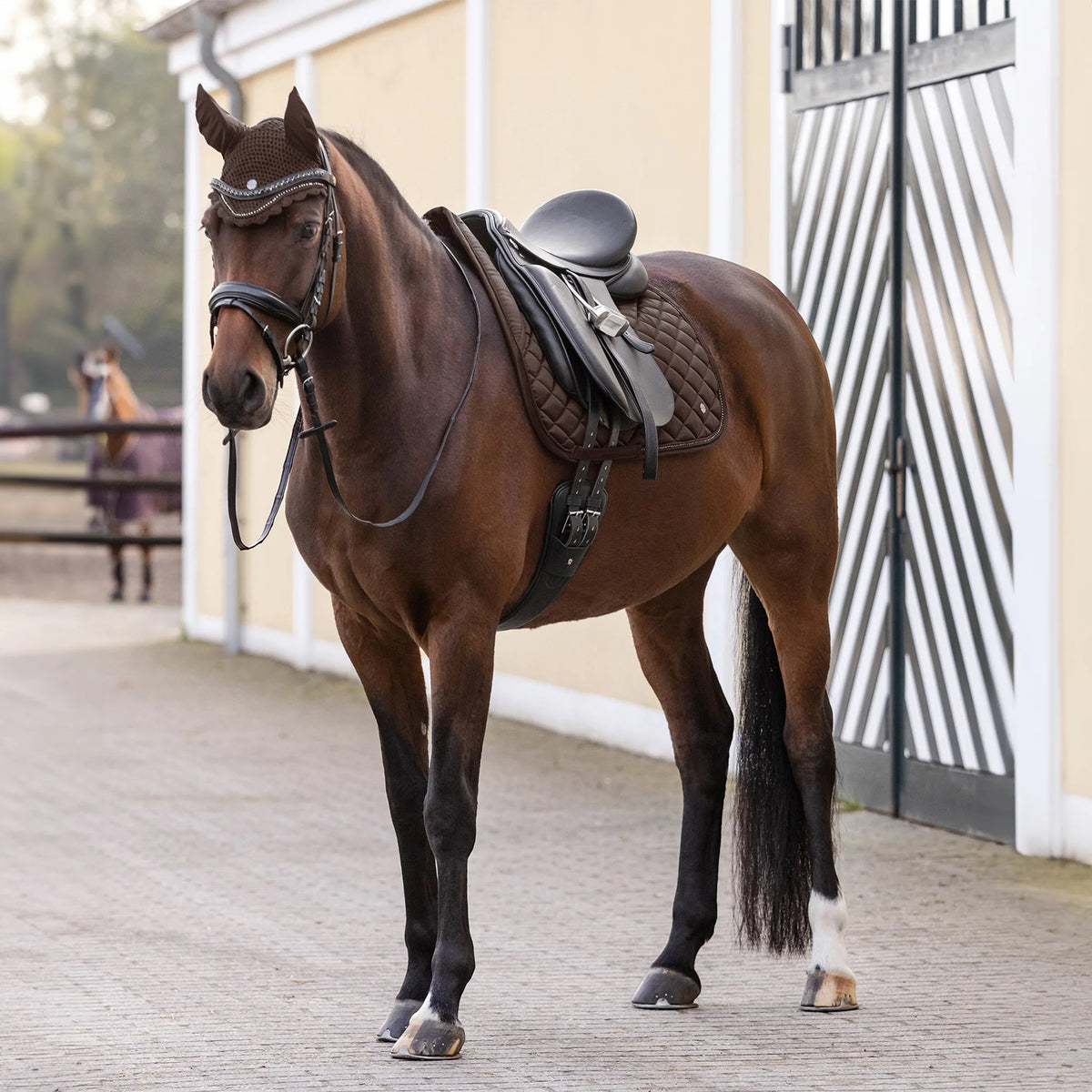 Waldhausen Saddle Pad Dressage Nepal Brown