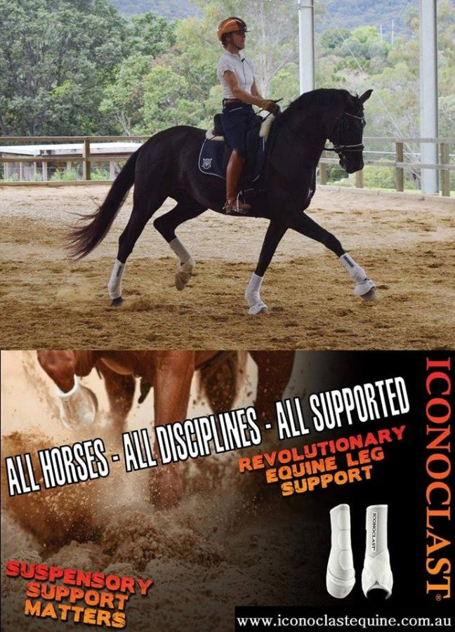 Iconoclast Orthopedic Support Boots Hind