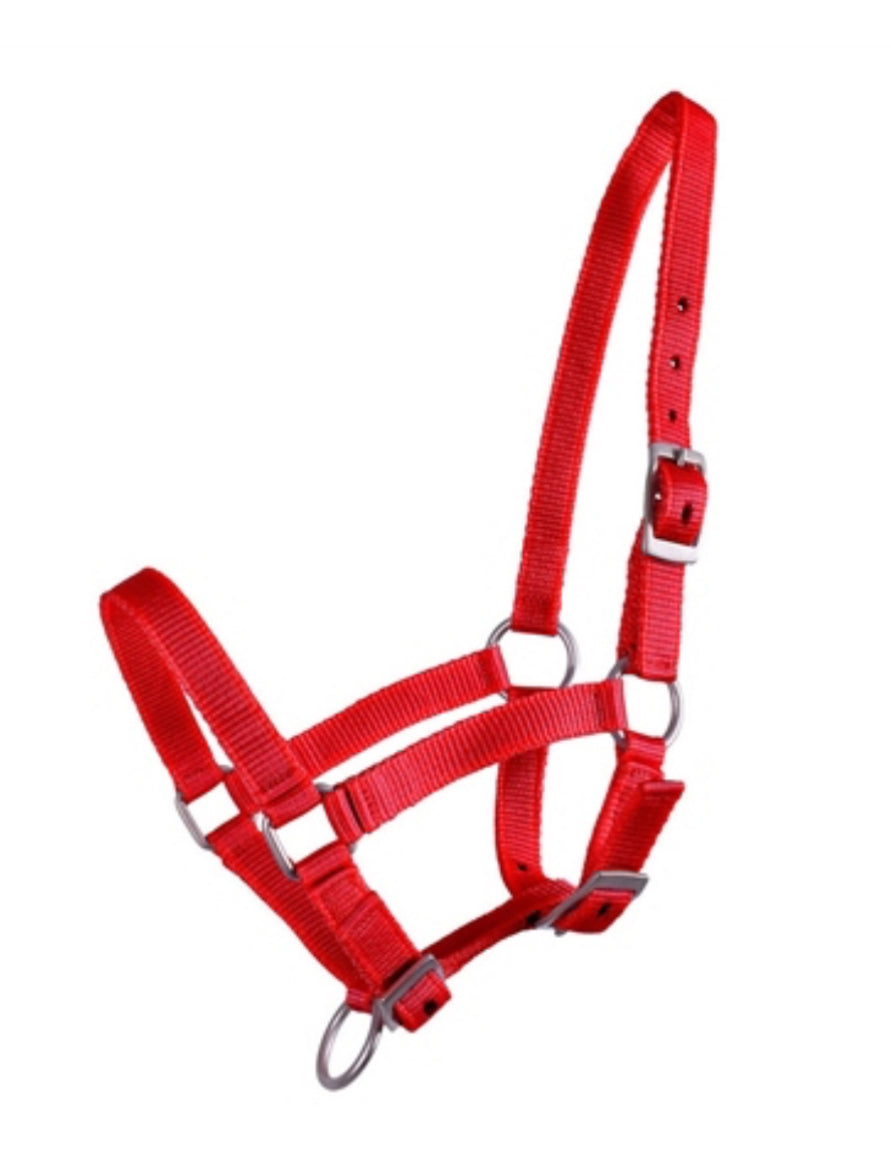 QHP Head Collar Foal