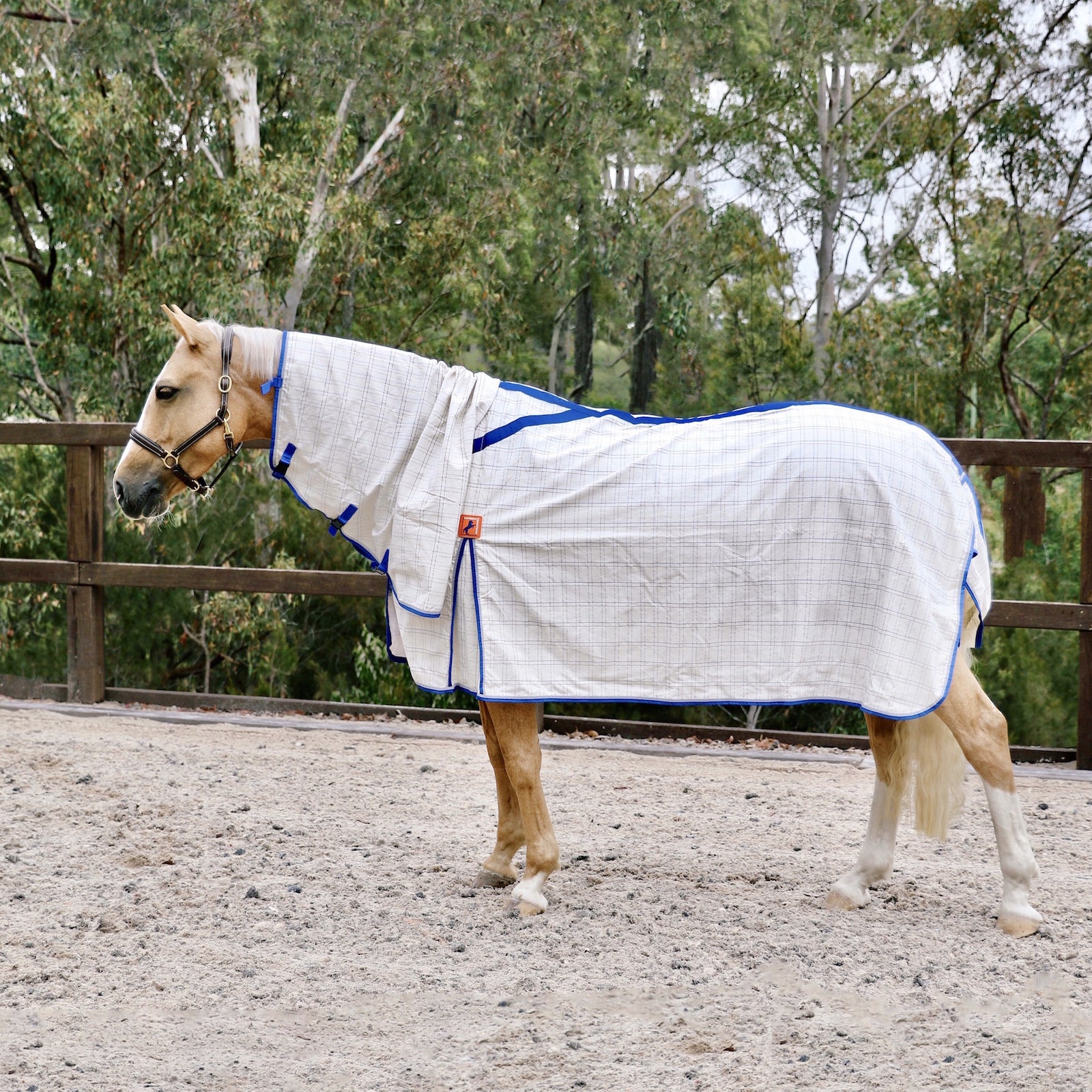 Capriole Deluxe Cotton Combo - Grey/Royal