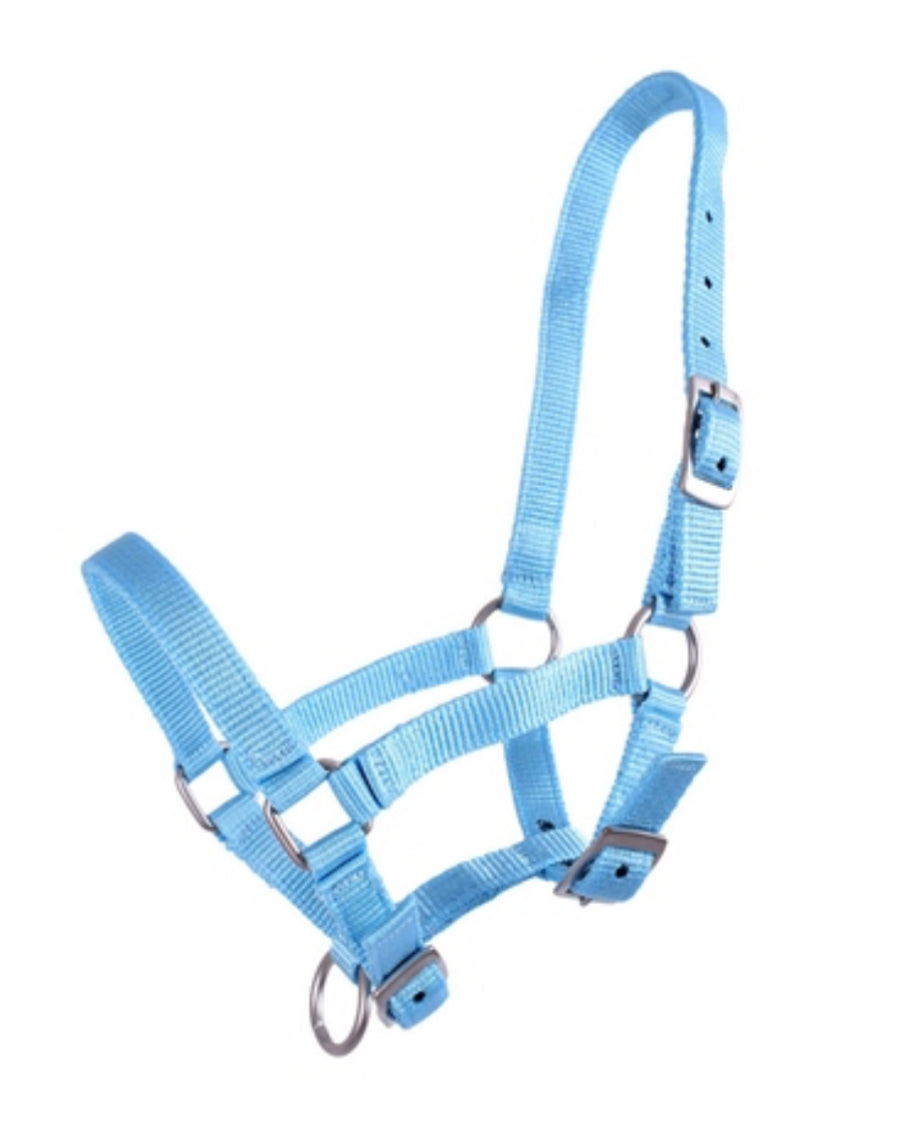 QHP Head Collar Foal