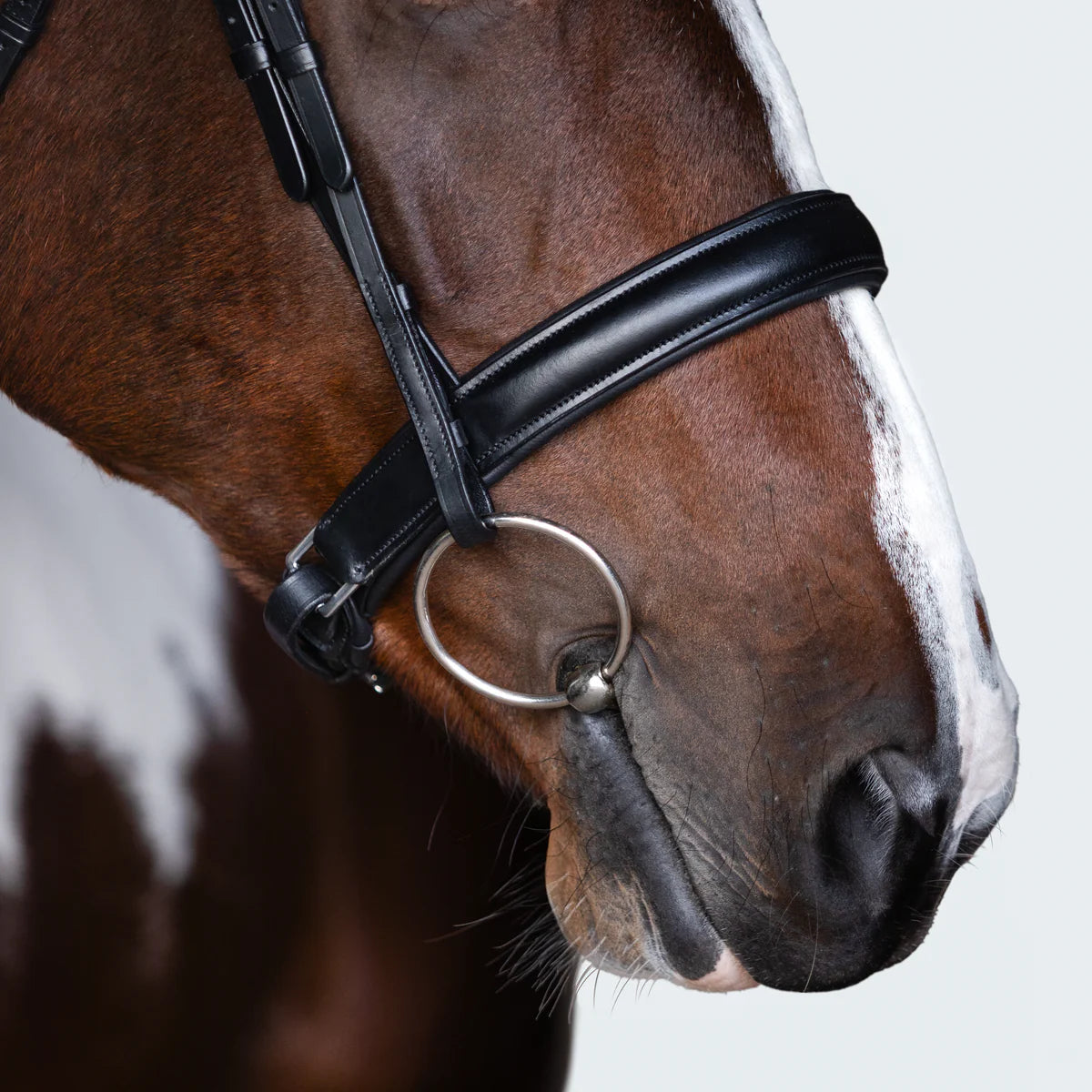 Lumiere Stella Bridle