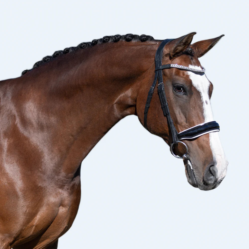 Lumiere Equestrian Adeline Bridle (Cavesson)