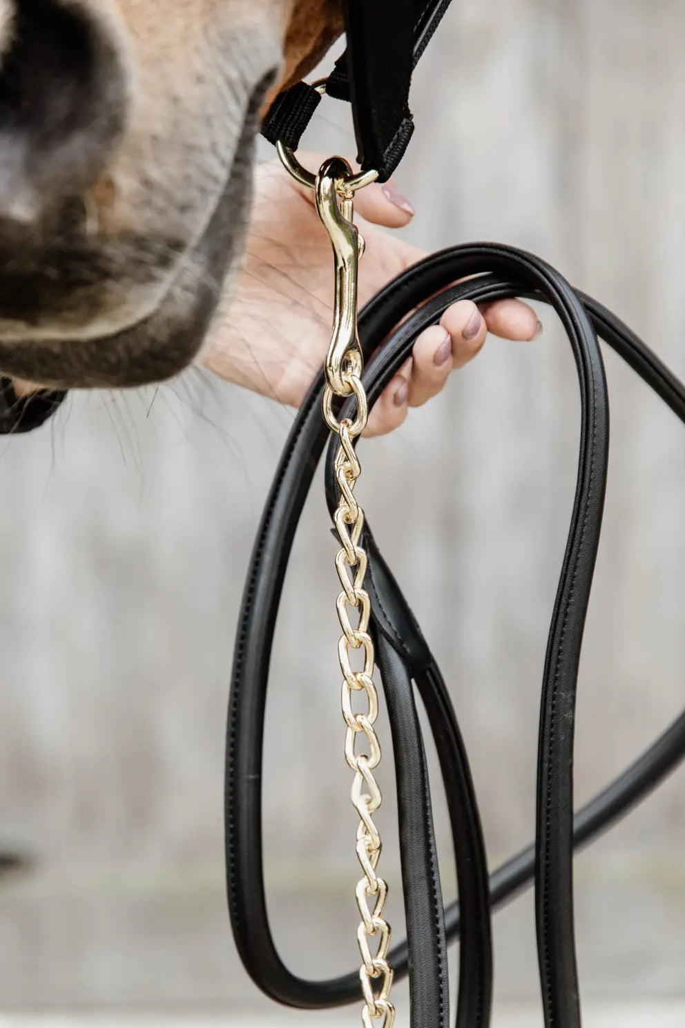 Kentucky Leather Chain Lead 270cm