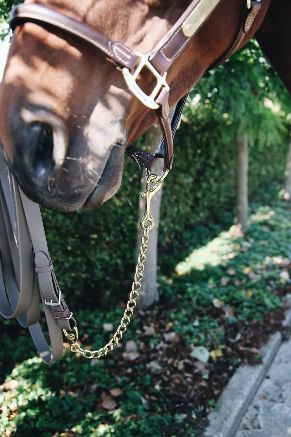 Kentucky Stallion Chain 60cm