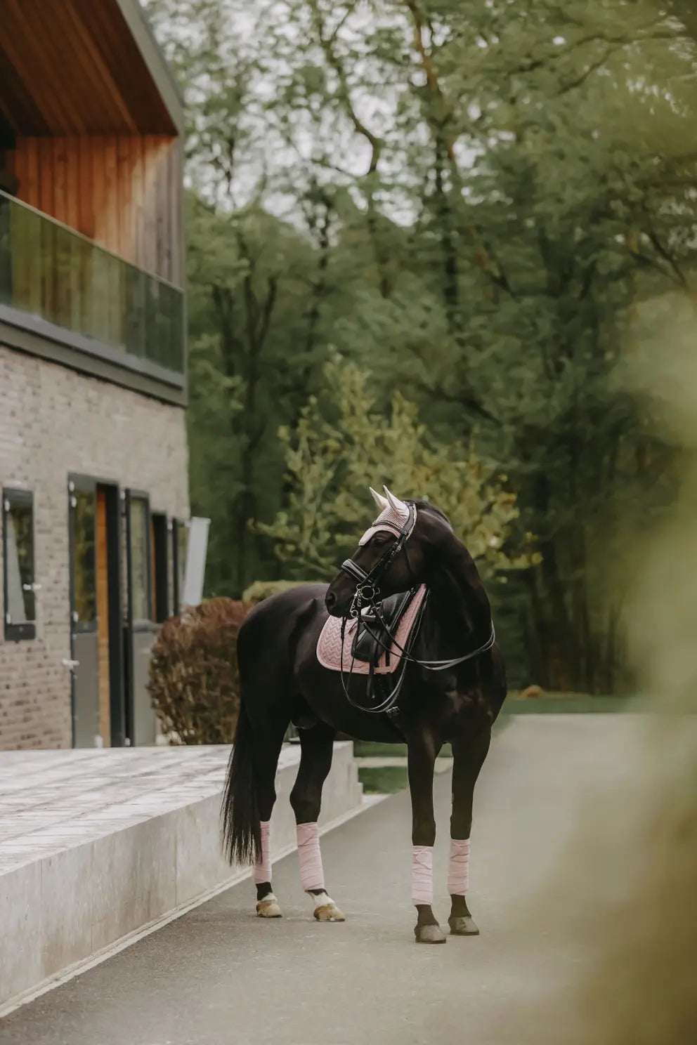 Kentucky Velvet Pearls Saddle Pad