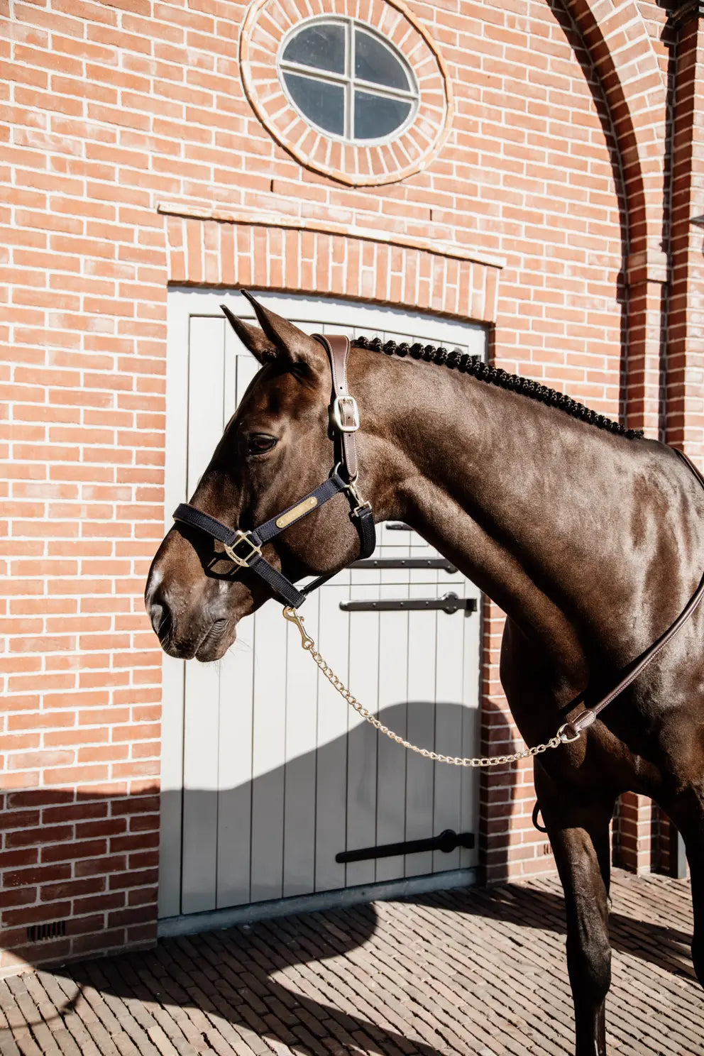 Kentucky Leather Chain Lead 270cm