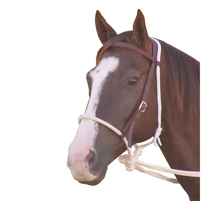 Ezy Ride Breaking Bridle