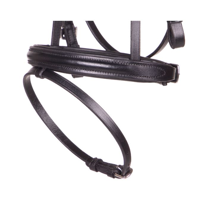 QHP Beli Bridle