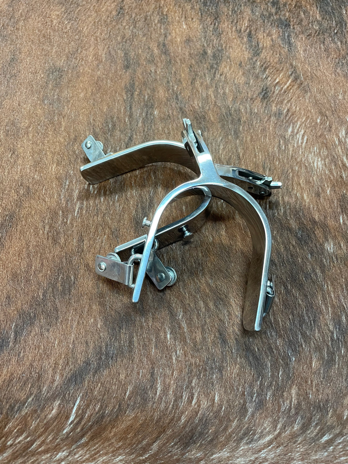 Mavericks Adult Bull Riding Spurs - Saddleworld Ipswich