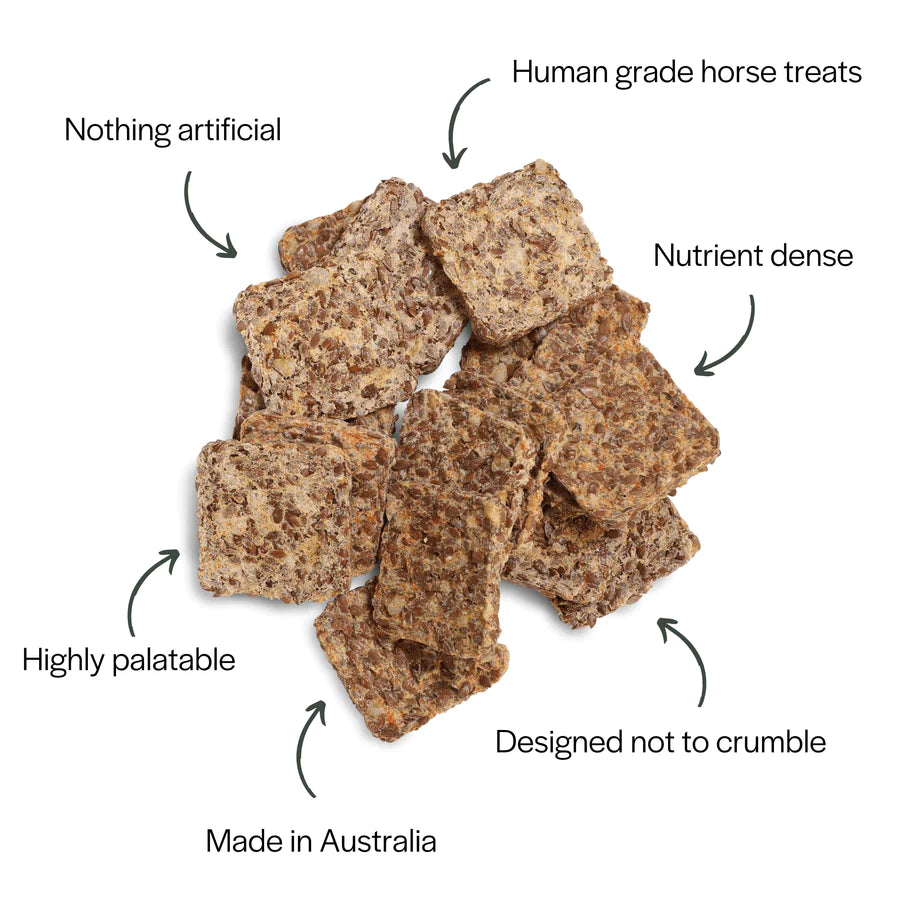 Equacare CuraHorse All Natural Nothing Naughty Horse Treat
